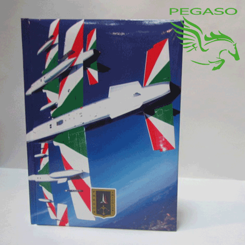 Diario Frecce Tricolori Diario Frecce Tricolori