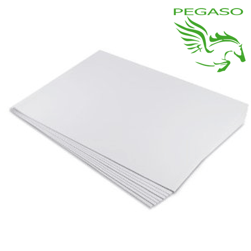 Cartoncino F4 50 x 70 Ruvido Cartoncino F4 50 x 70 Ruvido