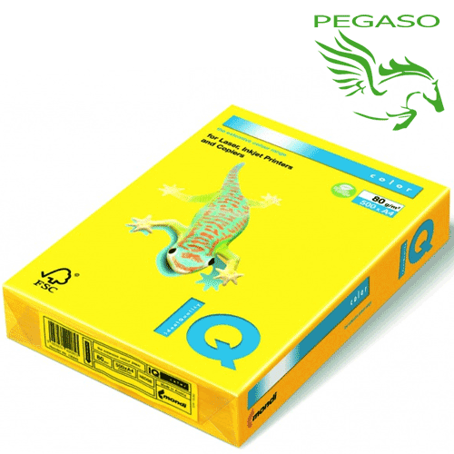 Risma IQ Neon Risma IQ Neon