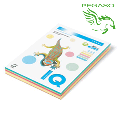 Risma IQ Color 160 mix Risma IQ Color 160 mix