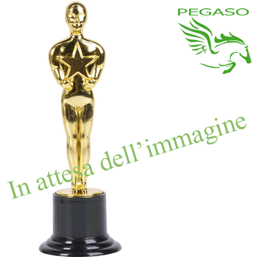Statuina Oscar Statuina Oscar