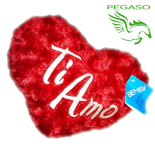 Cuscino cuore Cuscino cuore