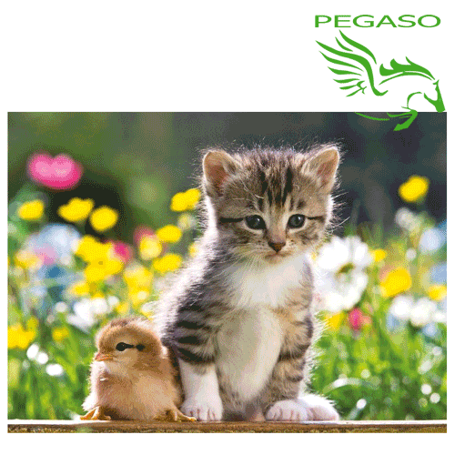 Puzzle 300 - Cuccioli Puzzle 300 - Cuccioli
