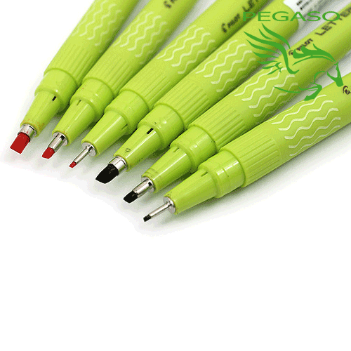 Pennarello Pilot Lettering Pen Pennarello Pilot Lettering Pen