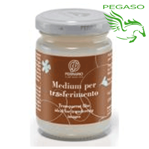 Medium per il trasferimento di immagini Medium per il trasferimento di immagini