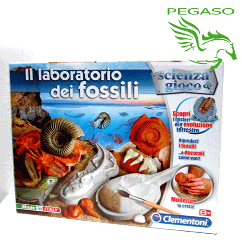 Scienza & Gioco - Laboratorio dei fossili Scienza & Gioco - Laboratorio dei fossili