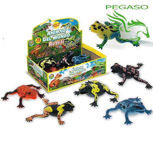 Animali nel mondo - Rane Animali nel mondo - Rane