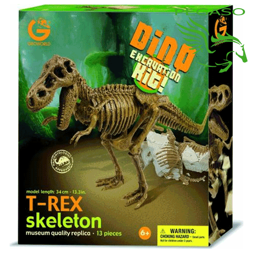 Dino excavation kit - T-Rex Dino excavation kit - T-Rex