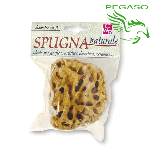 Spugna naturale Spugna naturale