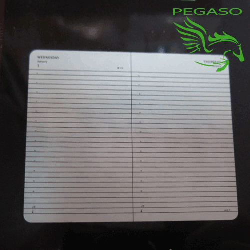 Agenda 2016 Moleskine Agenda 2016 Moleskine