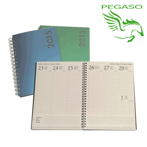 Agenda 2016 - 17 x 24 - Metal Agenda 2016 - 17 x 24 - Metal