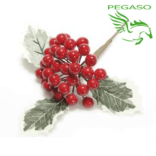Mazzetto bacche rosse Mazzetto bacche rosse