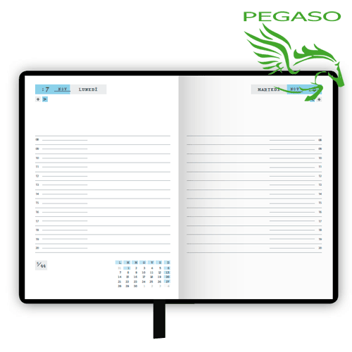 Agenda 2016 - Smemoranda giornaliera Agenda 2016 - Smemoranda giornaliera