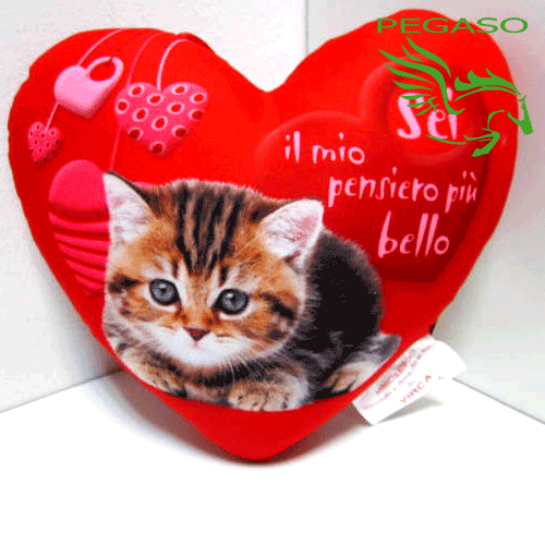 Cuore con ventosa Cuore con ventosa