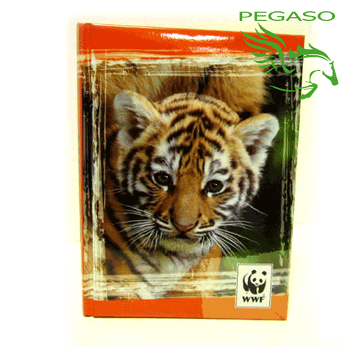 Diario WWF - Boy Diario WWF - Boy