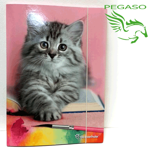 Cartellina con elastico Rachel Hale Love Cartellina con elastico Rachel Hale Love