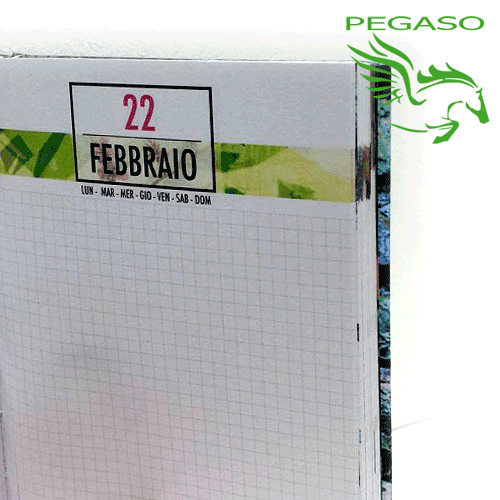 Diario Diadora Diario Diadora