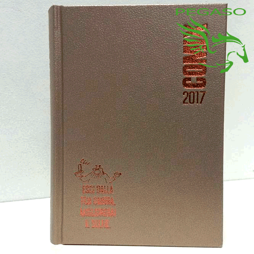 Agenda Comix 16 mesi 2017 Mignon Agenda Comix 16 mesi 2017 Mignon