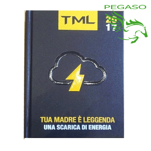 Diario Tua madre è leggenda TML Diario Tua madre è leggenda TML