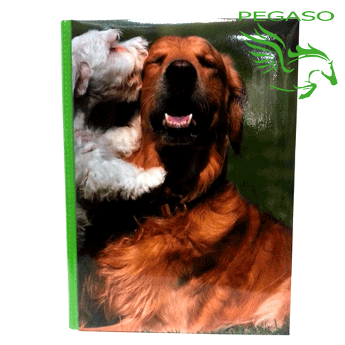 Diario Max Qty Animals Diario Max Qty Animals
