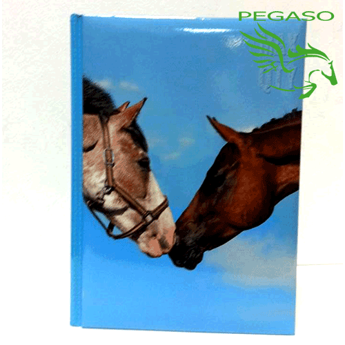 Diario Max Qty Animals Diario Max Qty Animals