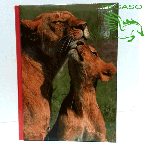 Diario Max Qty Animals Diario Max Qty Animals