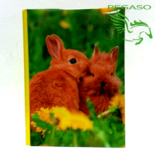 Diario Max Qty Animals Diario Max Qty Animals