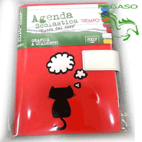 Agenda accademica 2016-2017 In Tempo Grafica a quadretti - Cat Rosso Agenda accademica 2016-2017 In Tempo Grafica a quadretti - Cat Rosso