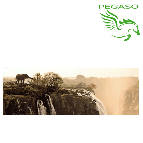 Puzzle 1000 Puzzle 1000
