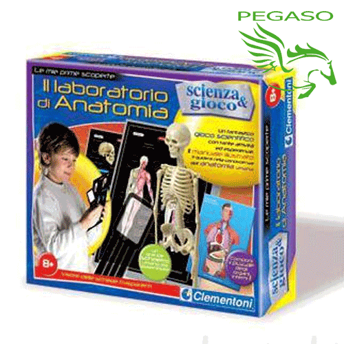 Laboratorio di anatomia Laboratorio di anatomia