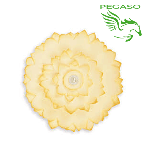 Fustella Sizzix Shot Dahlia 662594 per Big Shot Fustella Sizzix Shot Dahlia 662594 per Big Shot