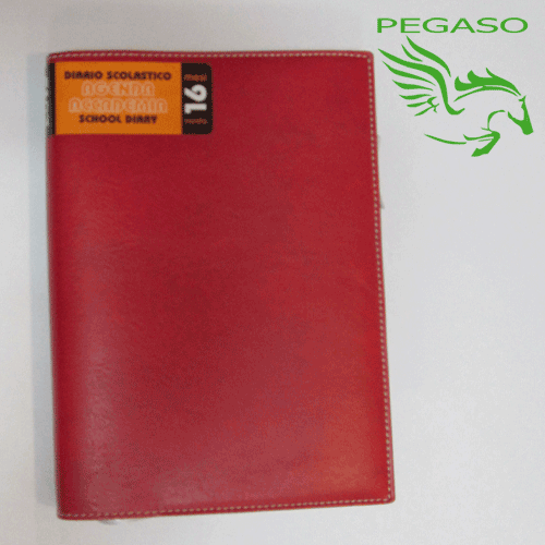 Agenda Guaina Agenda Guaina