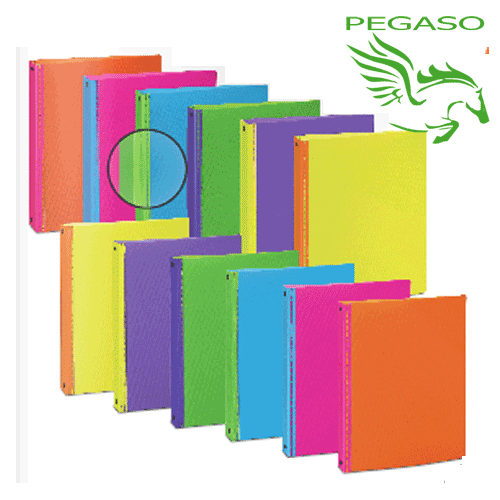 Raccoglitore A4 PPL - Bicolor Raccoglitore A4 PPL - Bicolor