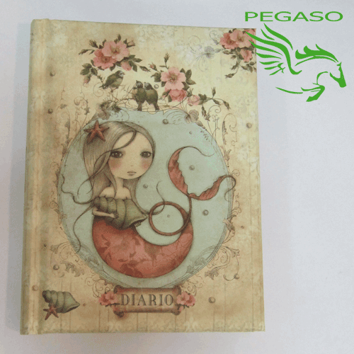 Diario Santoro Diario Santoro
